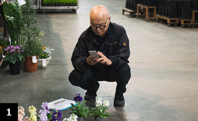 情報共有のために鉢を撮影する増田さん。実際に植物を見て、生育状況などを把握する。