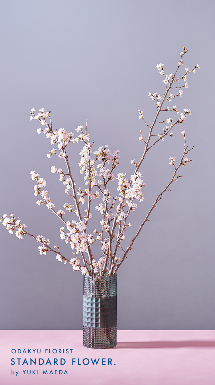 Standard Flower Vol 5 春は 桜 小田急ポイントカード Opカード
