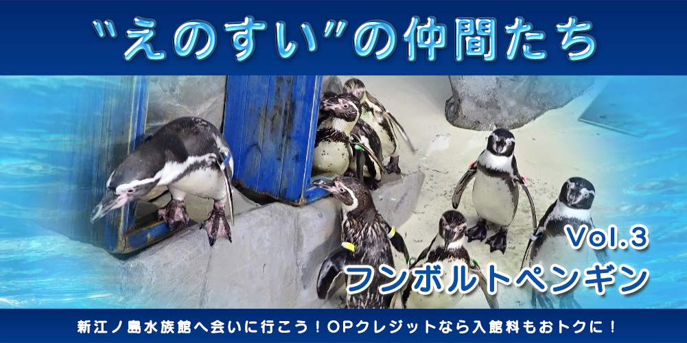 ペンギンたちにも食通がいる えのすいトリーター 小形茜 小田急ポイントカード Opカード
