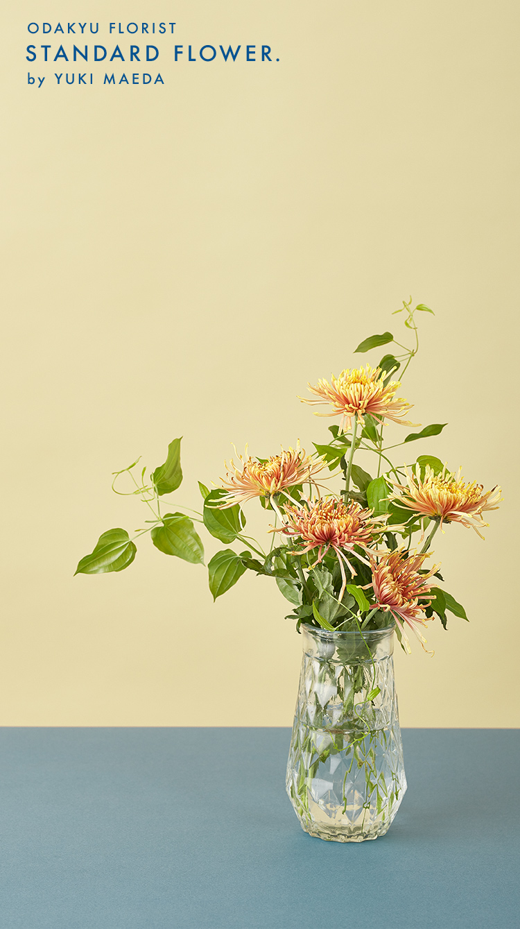 Standard Flower Vol 10 ロマンティックな キクに気づいて 小田急ポイントカード Opカード Standard Flower Vol 10 ロマンティックな キクに気づいて 小田急ポイントカード Opカード