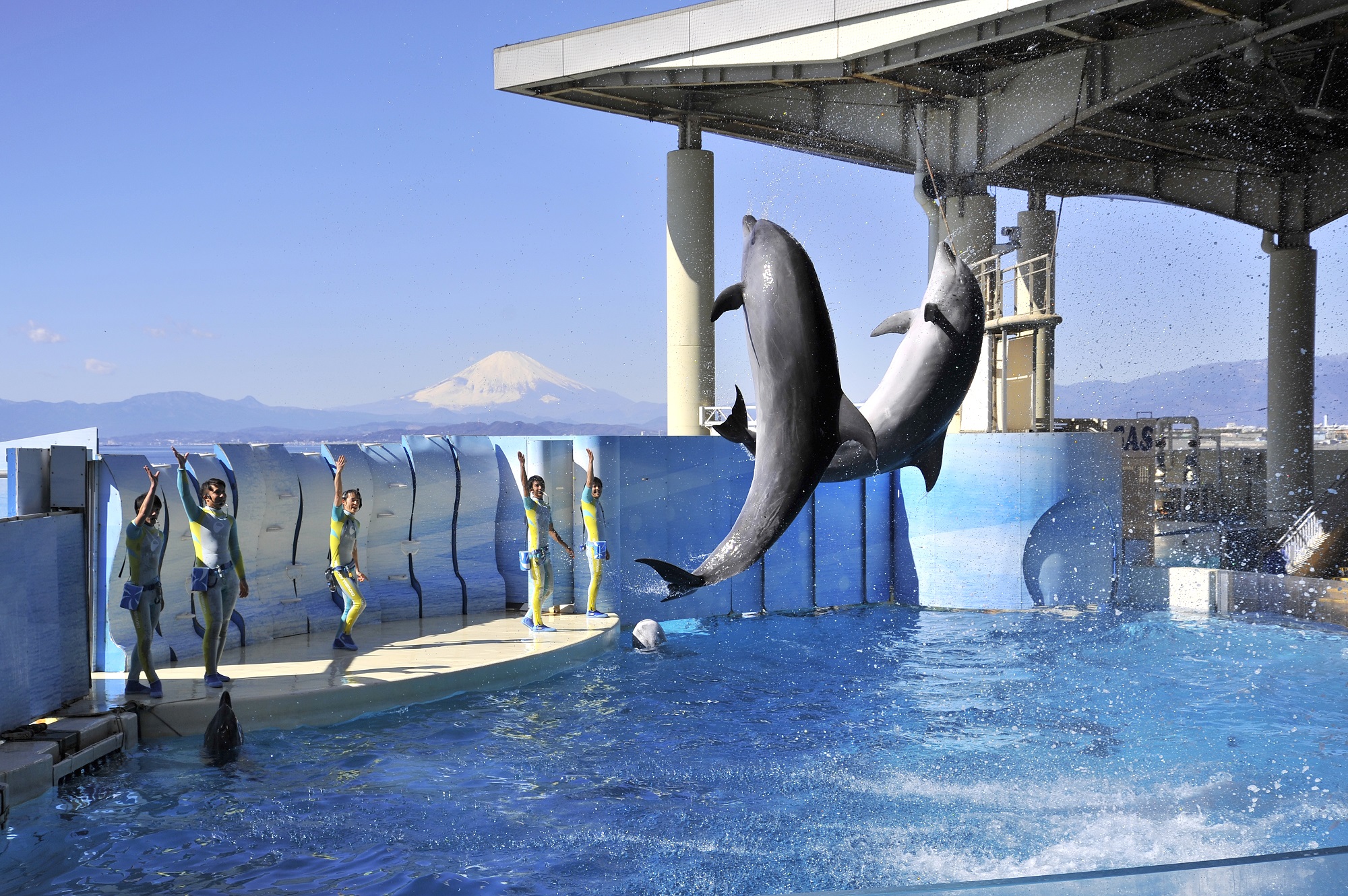 新江ノ島水族館