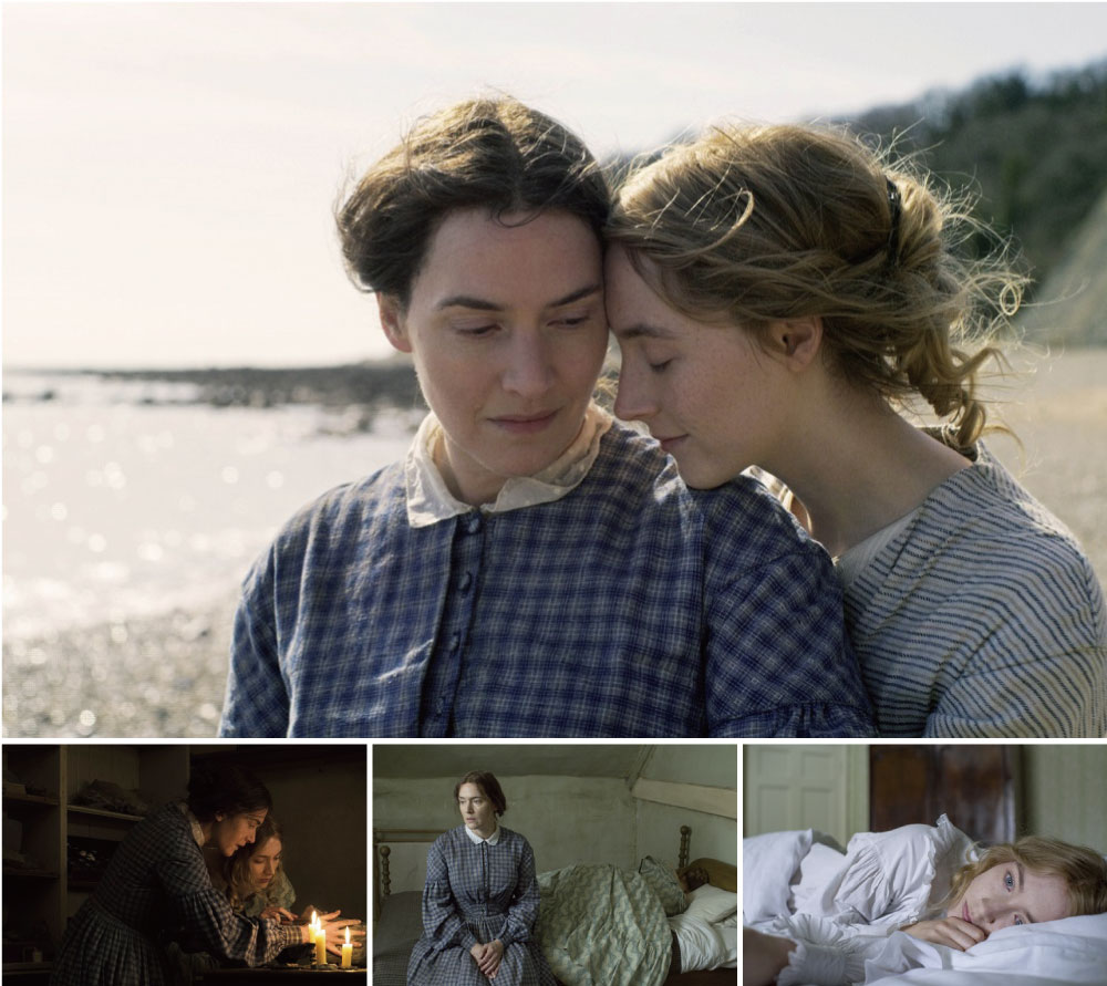 アンモナイトの目覚め 映画のとびら 110 小田急ポイントカード Opカード