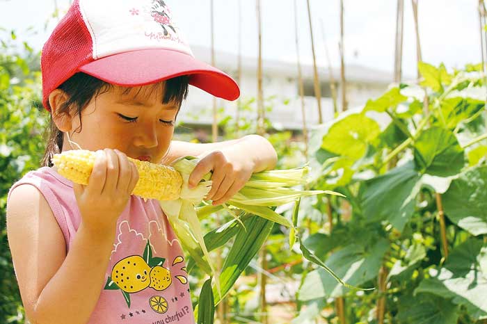 夏野菜栽培区画新規会員募集 アグリス成城 小田急ポイントカード Opカード