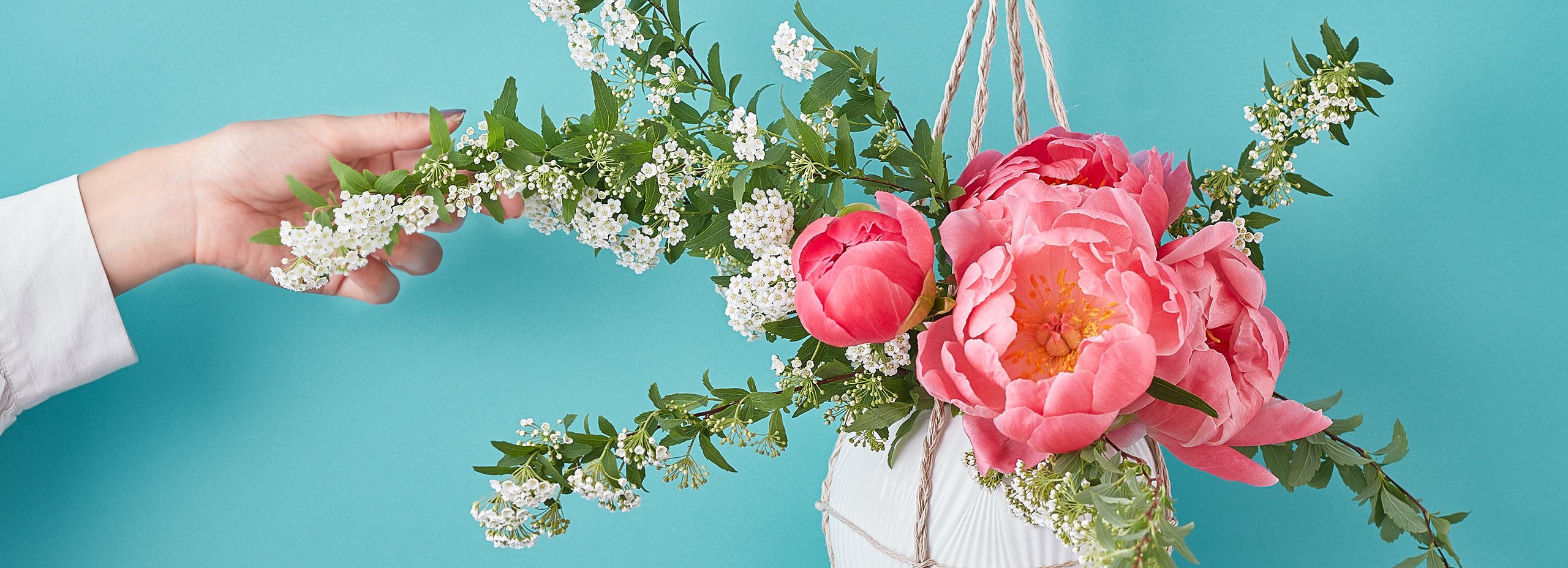 Standard Flower Vol 24 瞬間を彩る芍薬 前編 小田急ポイントカード Opカード Standard Flower Vol 24 瞬間を彩る芍薬 前編 小田急ポイントカード Opカード